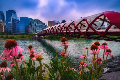 Calgary Peace Bridge.
