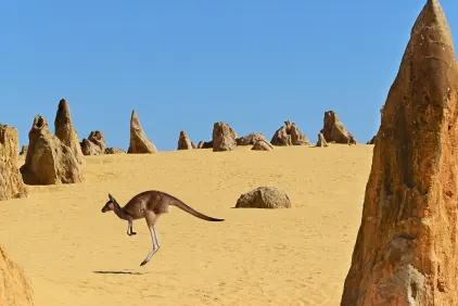 Western Australia Explorer