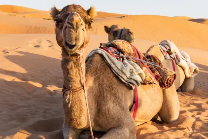 Discover Oman