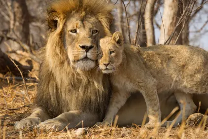 Kruger National Park
