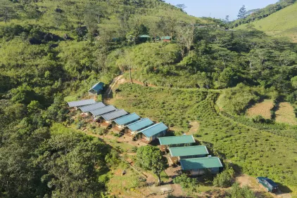Sri Lanka's Scenic Splendours