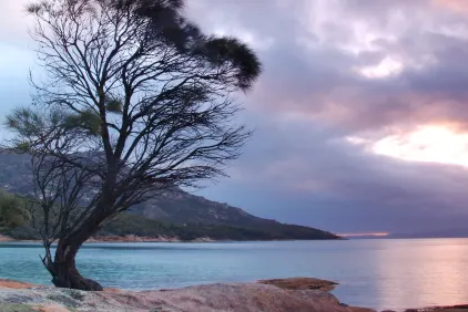 Tasmanian Wonders