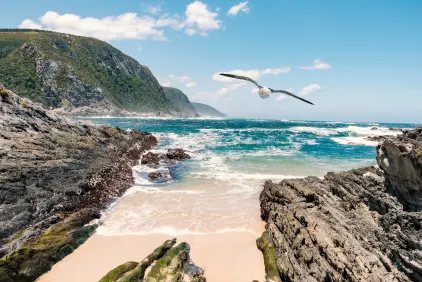 Garden Route Uncovered