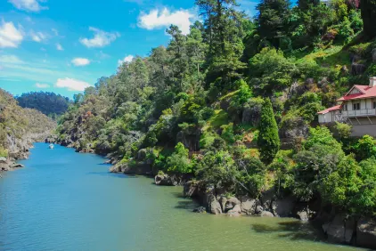 Tasmanian Wonders