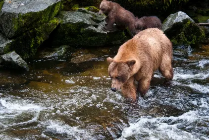 Alaska holidays