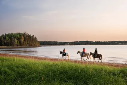 Explore New Brunswick