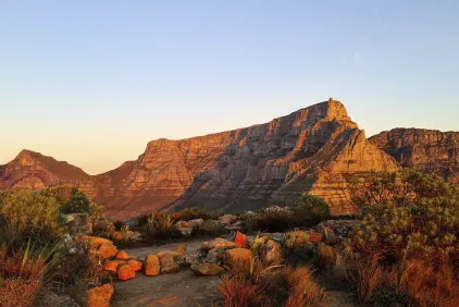 Cape Town, Winelands & Garden Route