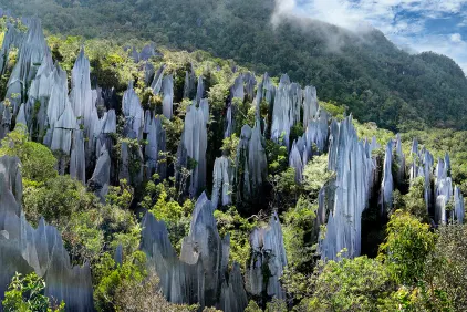 Mulu Caves Experience