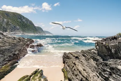 Cape Town, Winelands & Garden Route