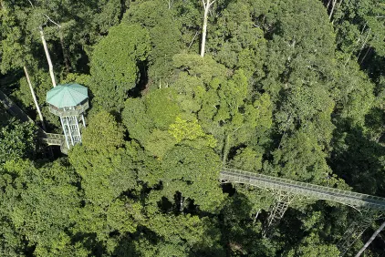 Sandakan Wildlife Adventure Tour