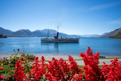 New Zealand Rail, Cruise & Coach Tour