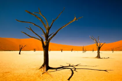 Sossusvlei Desert Adventure