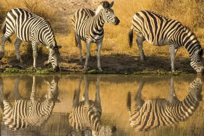 Kruger Region holidays