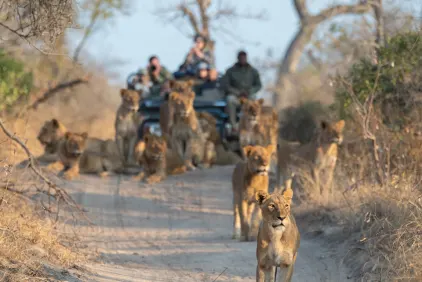 World in One Country, Escorted Tour