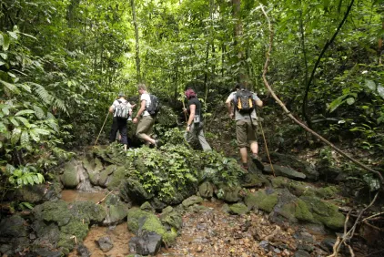 Elephant Hills Jungle Safari