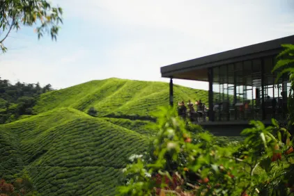 Cameron Highlands holidays