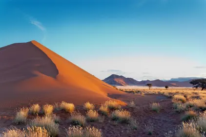 Namib desert