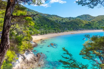 Abel Tasman Guided Walk