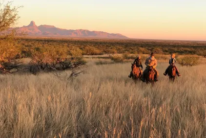 Phoenix, Scottsdale & Rest of The West holidays