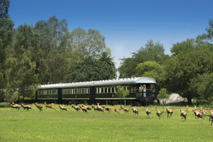 Rovos Rail - Pretoria to Victoria Falls