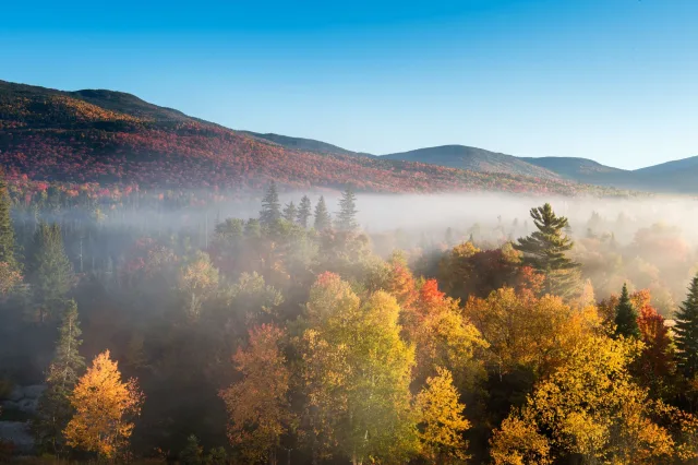 Colours of New England