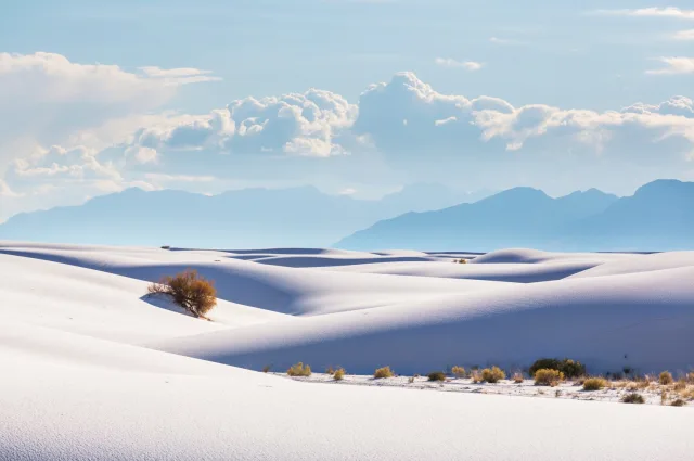 Trails of New Mexico & Texas