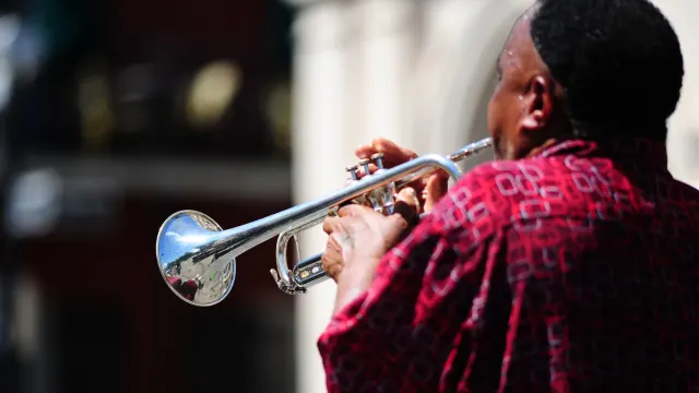 Rhythms of the South
