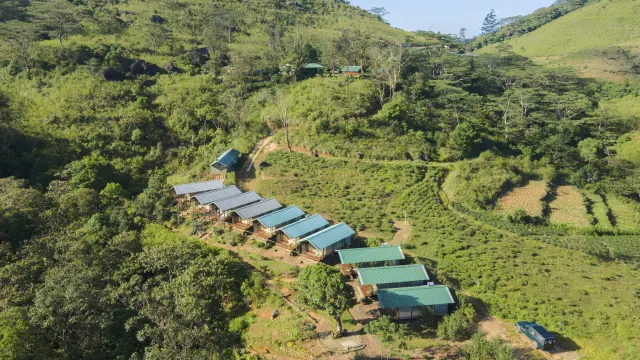 Sri Lanka's Scenic Splendours