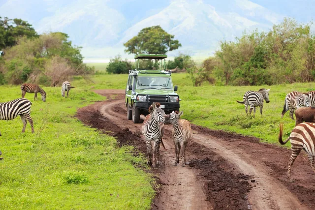 Tanzania Discovery