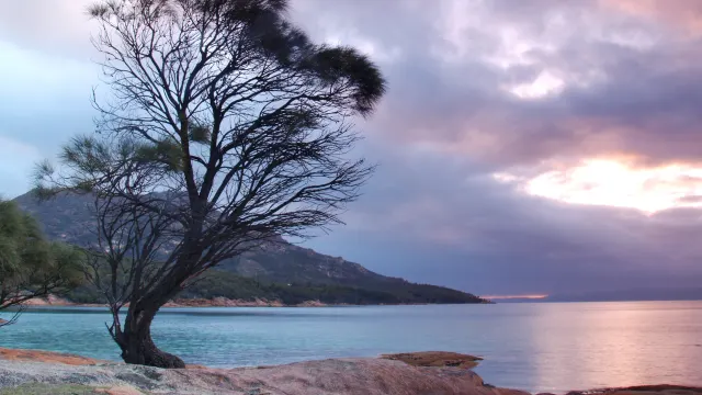 Tasmanian Wonders