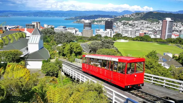 New Zealand Uncovered