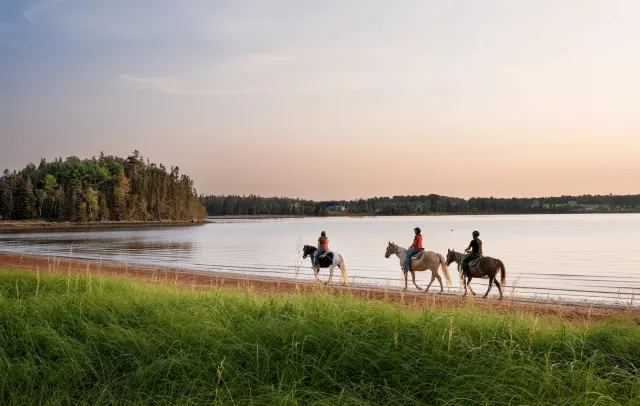 Explore New Brunswick