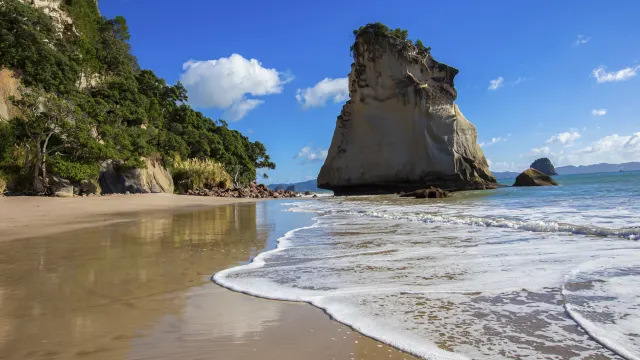 Best of the North Island