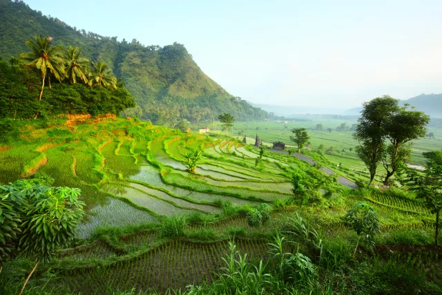 Bali, Ubud and Plantation Escape