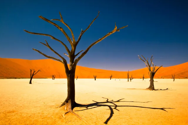 Sossusvlei Desert Adventure