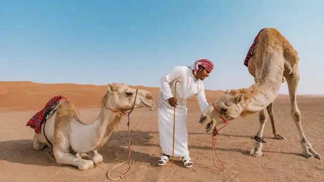 Desert Adventure