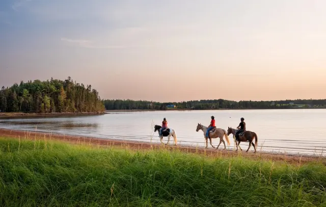 Explore New Brunswick