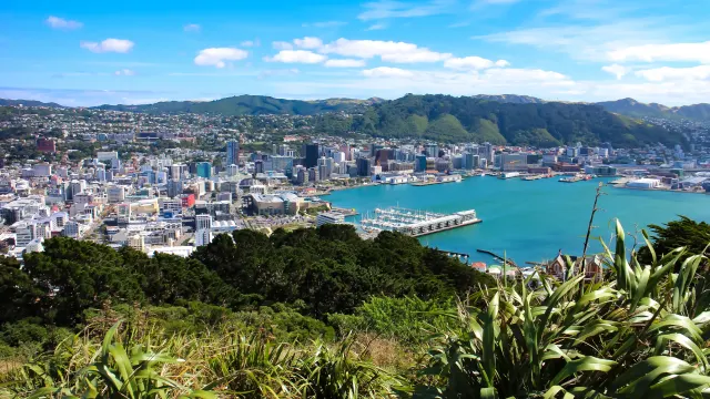 Signature North Island