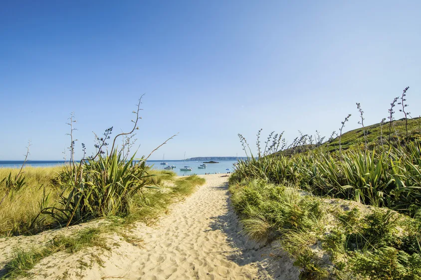 Guernsey Discovery