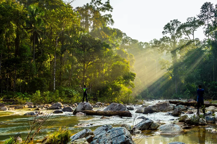 Taman Negara Explorer