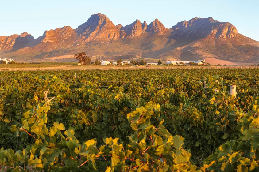 Winelands
