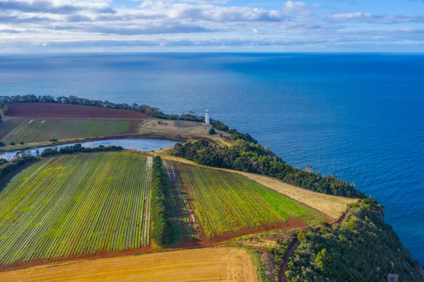 Tasmanian Wonders