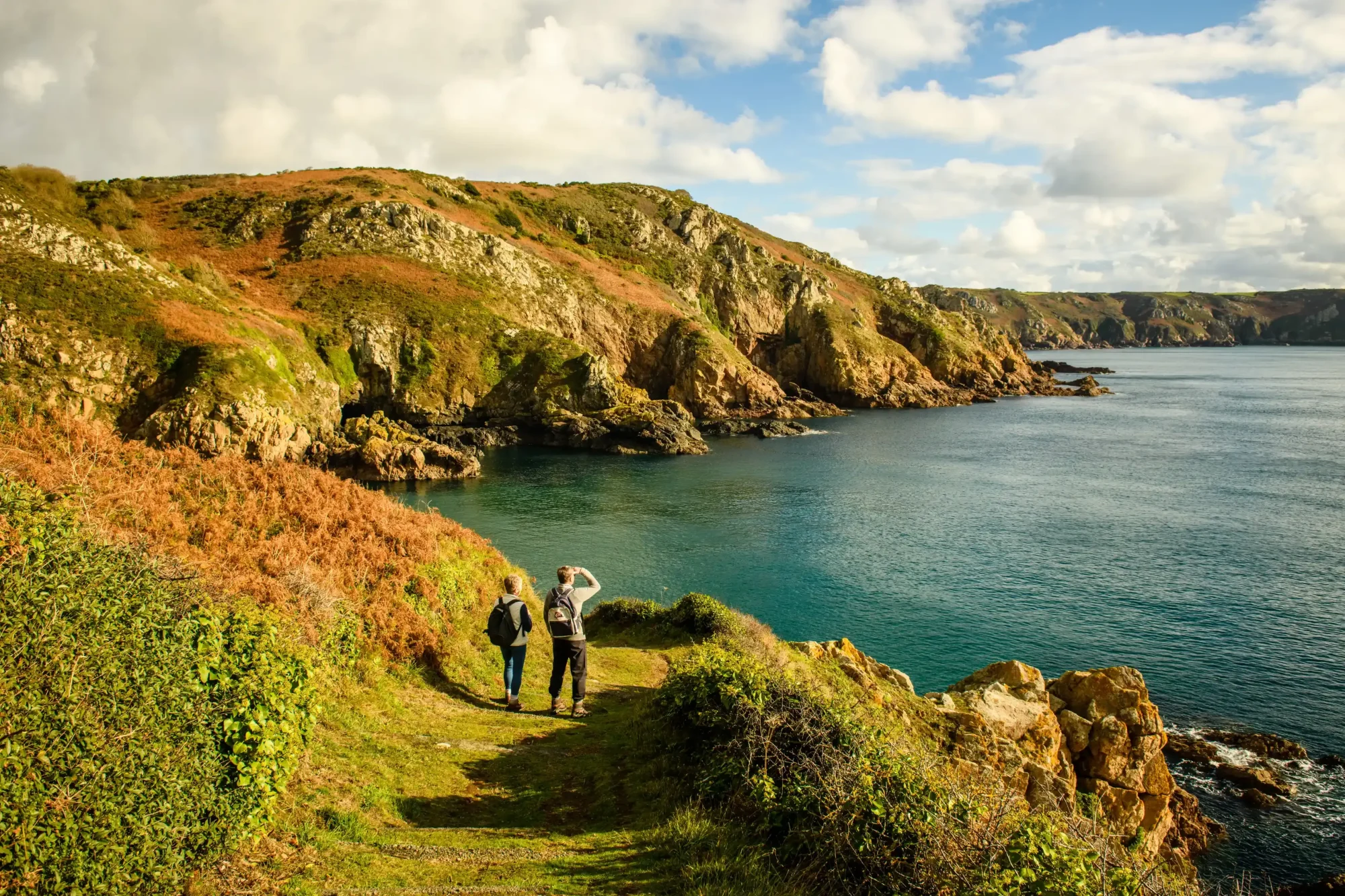 Autumn Guernsey