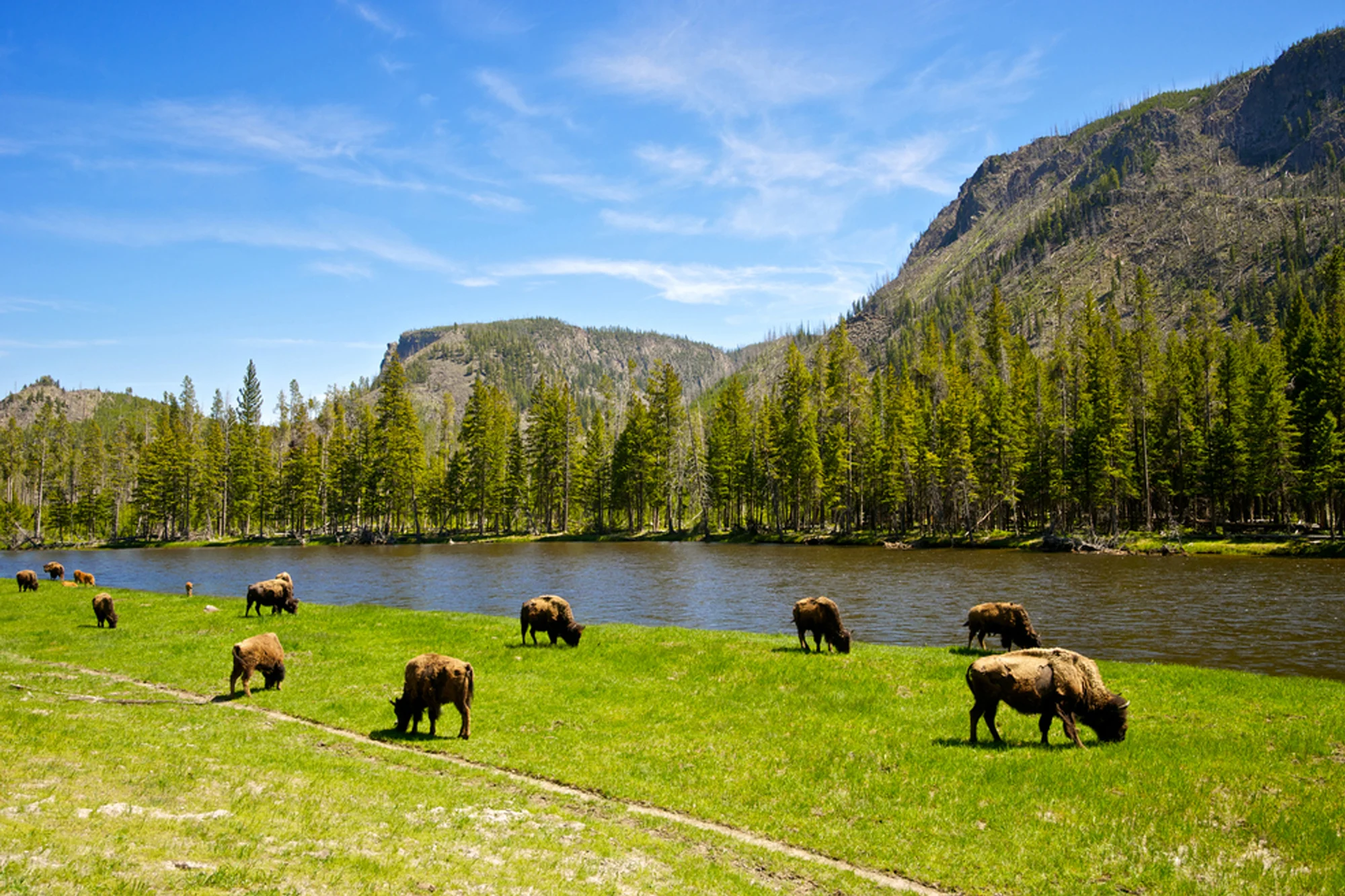 Yellowstone National Park holidays