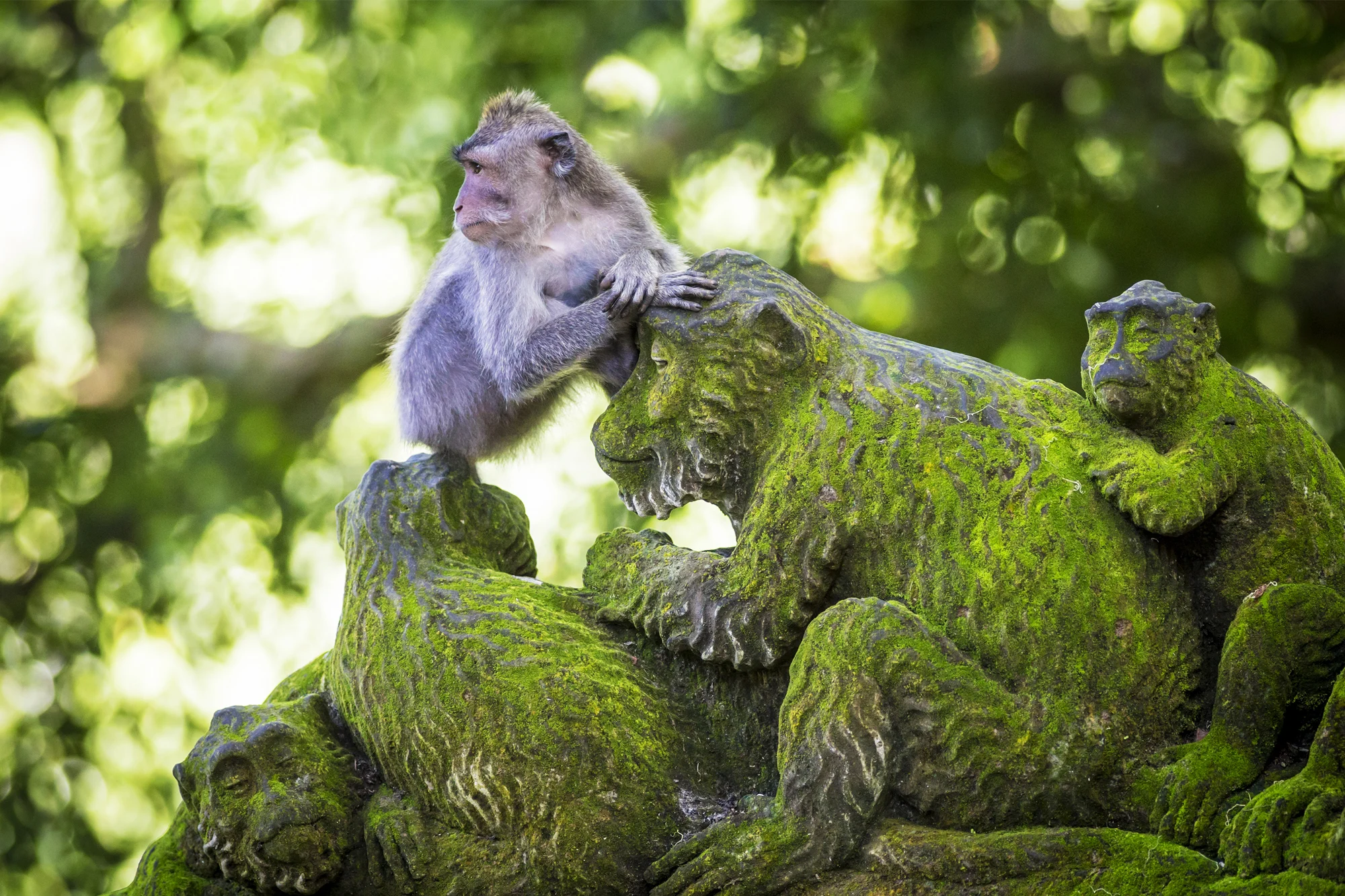 Ubud holidays