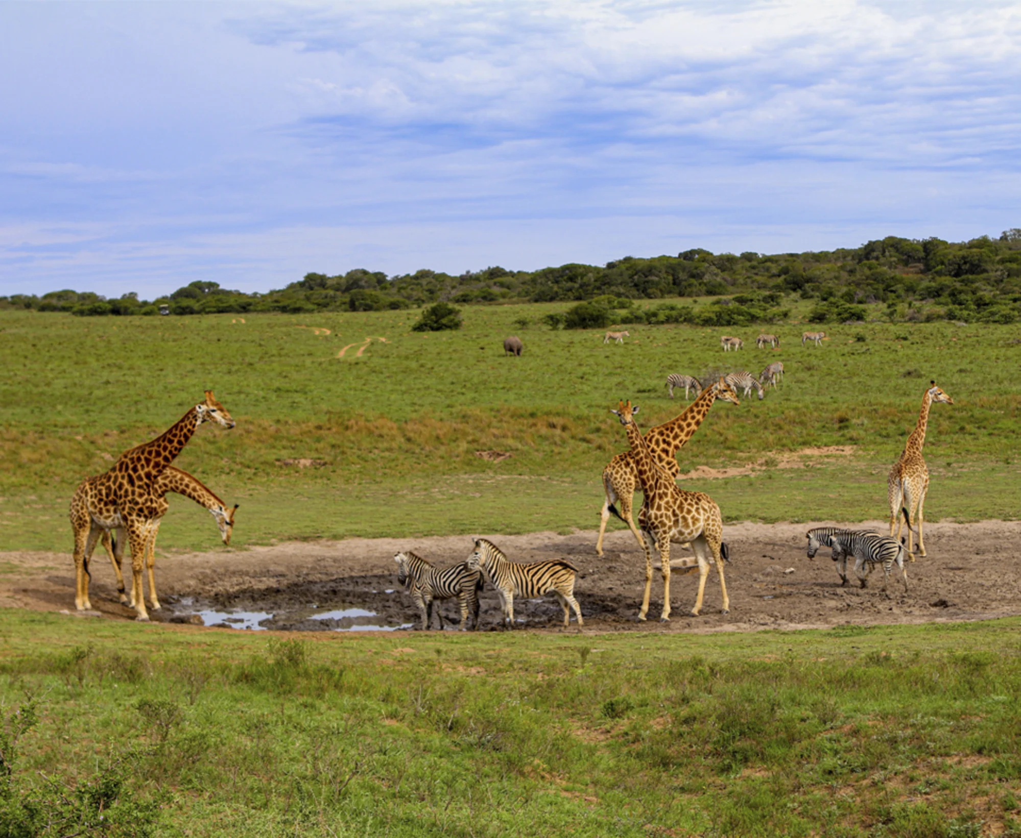 Eastern Cape Game Reserves holidays