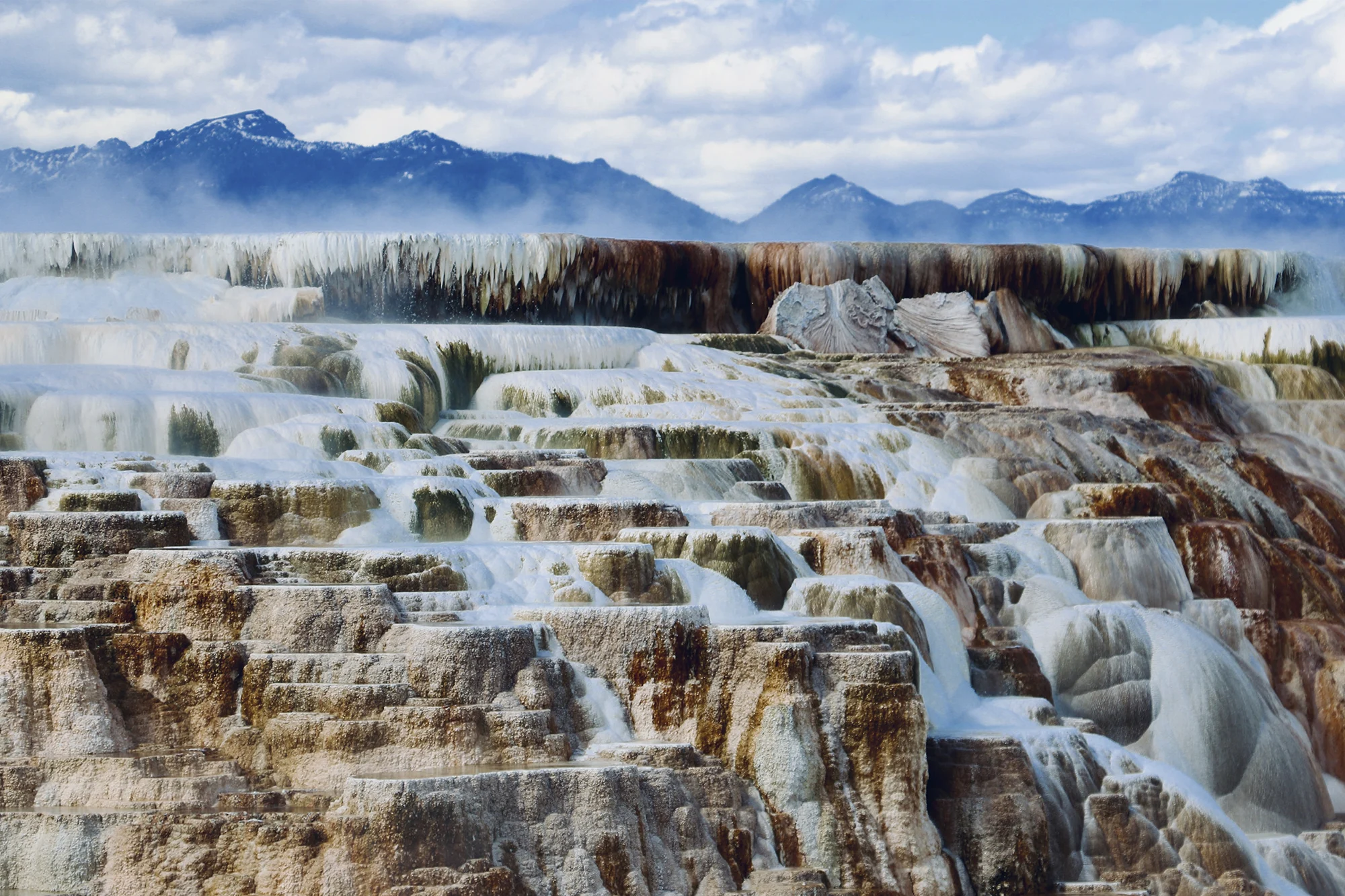 Yellowstone National Park holidays