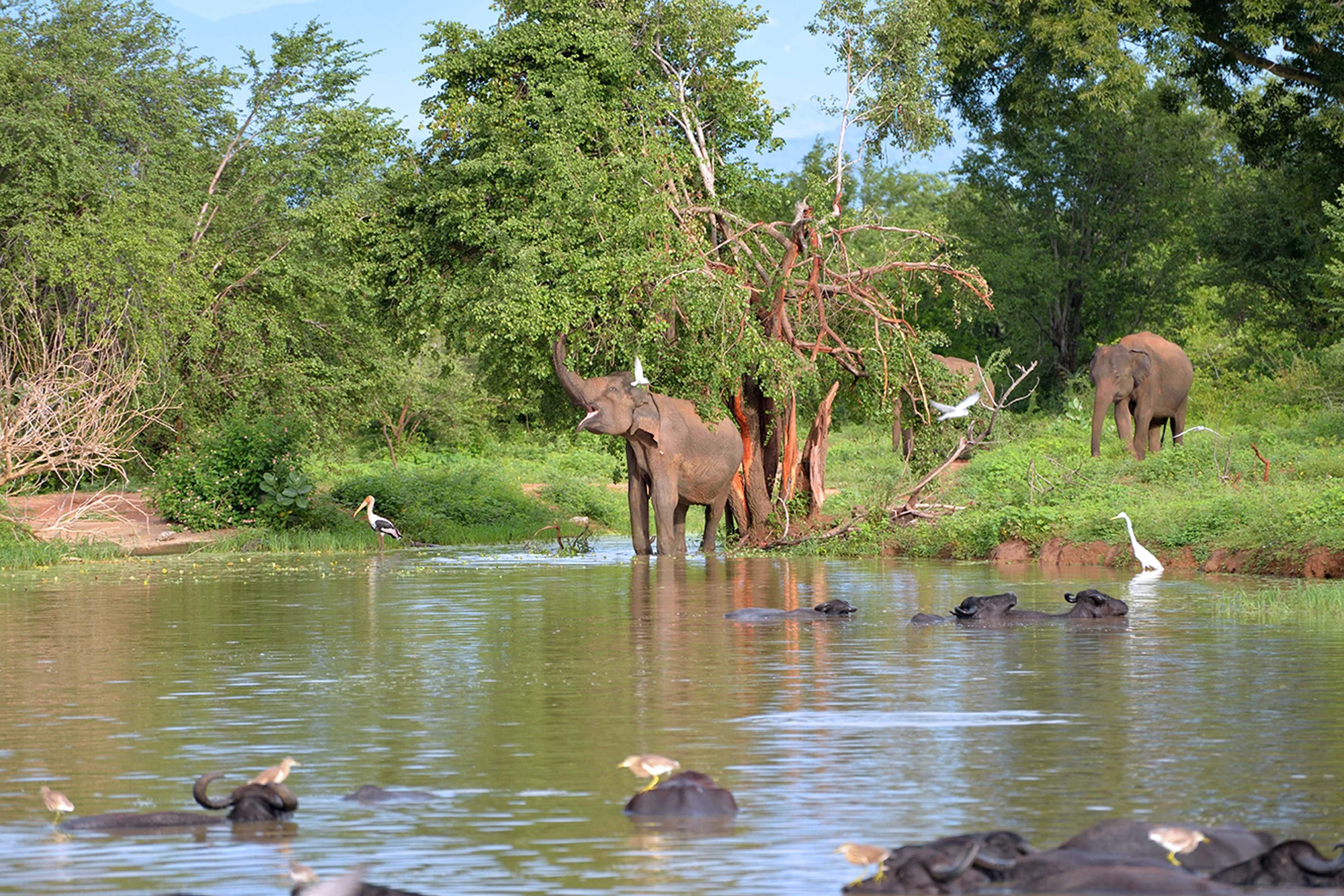 Udawalawe holidays