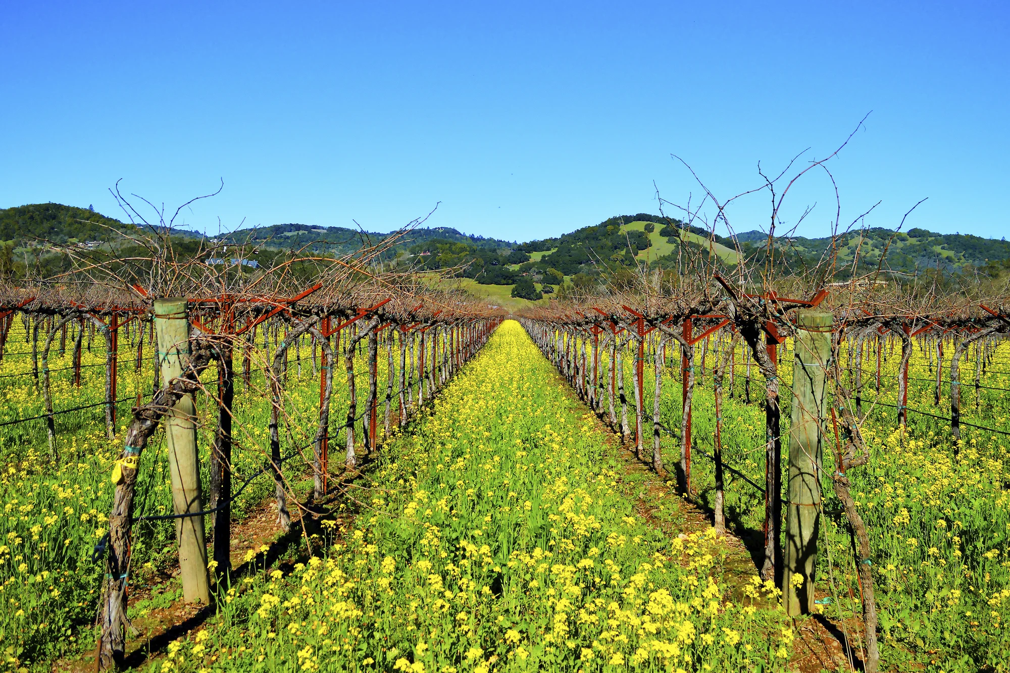 California Wine Country holidays