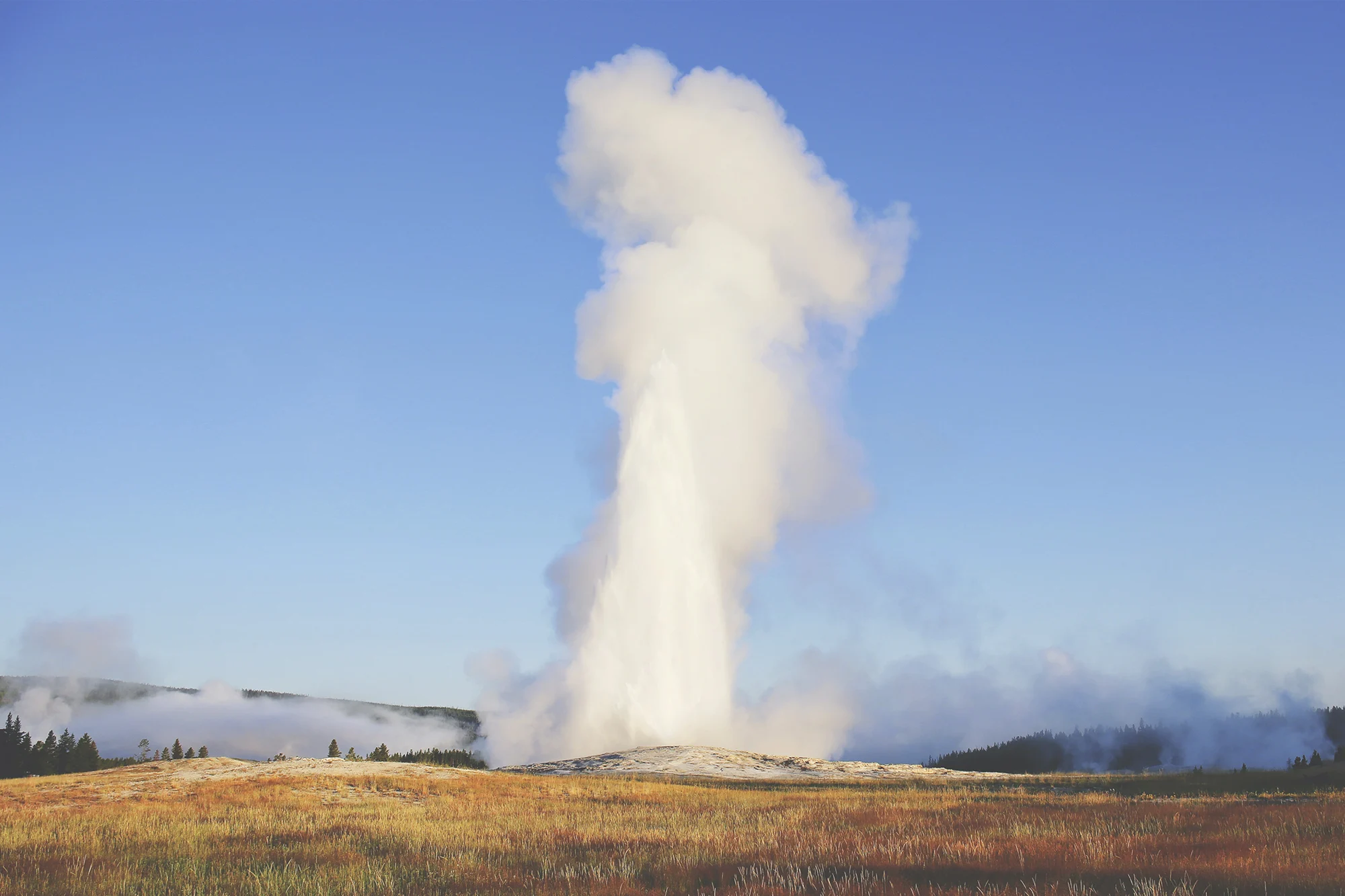 Yellowstone National Park holidays